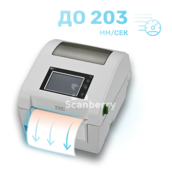 Принтер этикеток TSC DH240HC-A001-0002